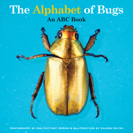 Valerie Gates The Alphabet of Bugs: An ABC Book