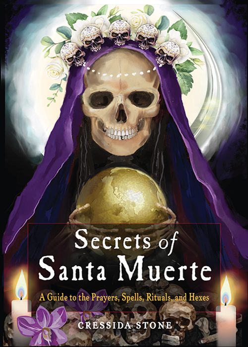 Praise for Secrets of Santa Muerte I really appreciate Cressidas point of - photo 1