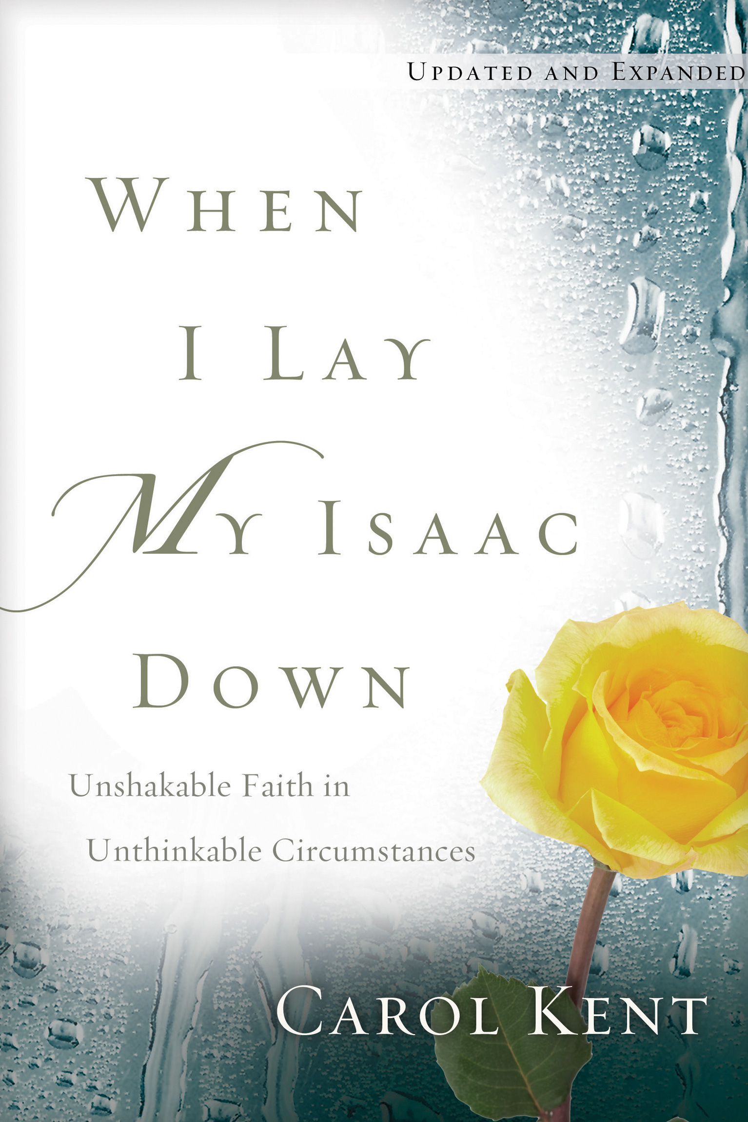 If I were to read only one book this year it would be When I Lay My Isaac Down - photo 1