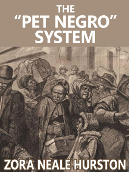 Zora Neale Hurston The Pet Negro system