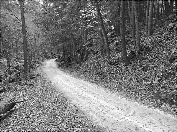 A twisted track of dirt and stone Gulf Road winds its way through Wizards - photo 5