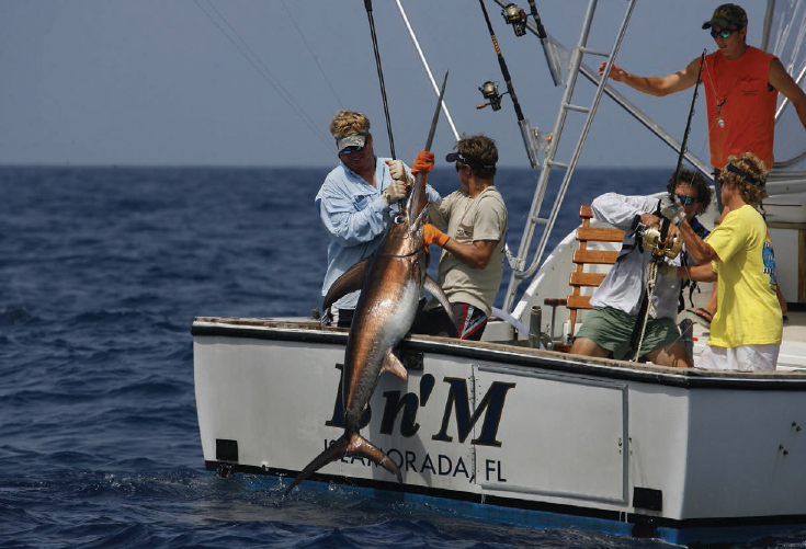 You might be lucky enough to reel in a swordfish like this one if you try your - photo 2