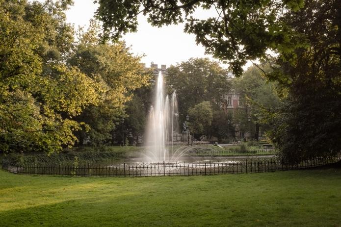 Figure 4 A Garden Pond with a Water Fountain Planting Materials The most - photo 4