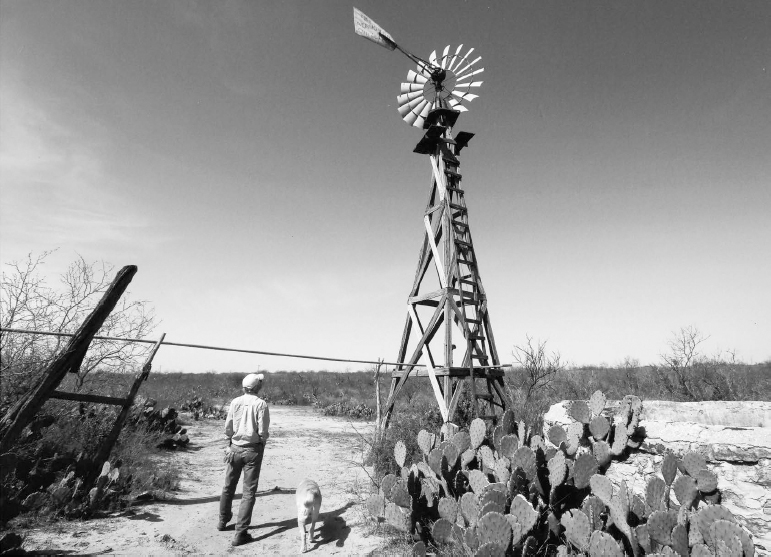 PREFACE The South Texas land we call the despobladothe wild horse desert the - photo 3