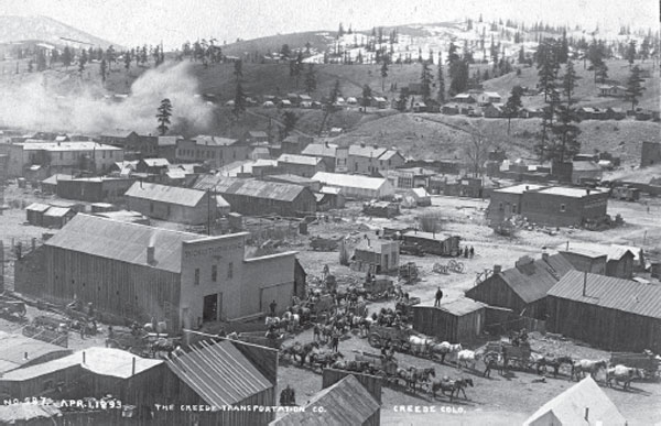 Creede Transportation Company circa 1893 Author collection The first task - photo 4