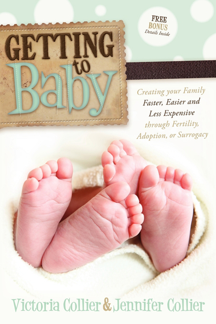 GETTING to Baby Creating your Family Faster Easier and Less Expensive - photo 1