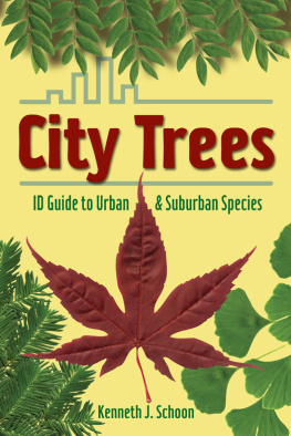 Kenneth J. Schoon - City Trees: Id Guide to Urban & Suburban Species