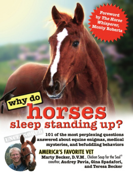 Marty Becker - Why Do Horses Sleep Standing Up?: 101 of the Most Perplexing Questions Answered About Equine Enigmas, Medical Mysteries, and Befuddling Behaviors