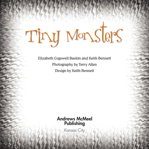 Tiny Monsters copyright 2003 by Elizabeth Cogswell Baskin and Keith Bennett - photo 3