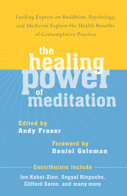 Andy Fraser - The Healing Power of Meditation: Leading Experts on Buddhism, Psychology, and Medicine Explore the Health Benefit s of Contemplative Practice