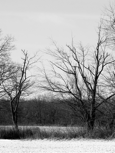 In the early twentieth century this site was identified as the location of - photo 1