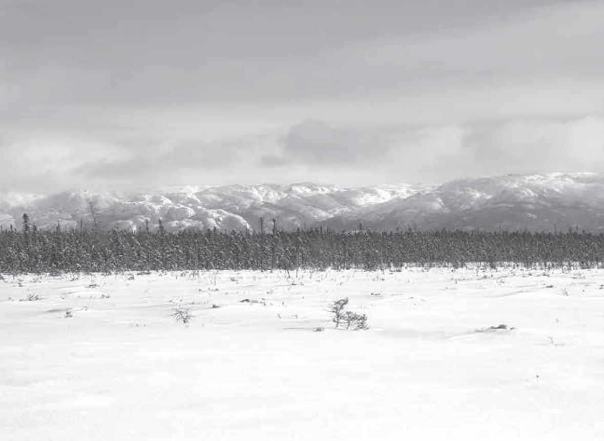 Looking towards Akami-uapishku White Mountain Across Photo by Camille - photo 3