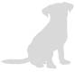 Vet Confidential An Insiders Guide to Protecting Your Pets Health - image 4