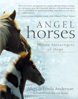 Allen Anderson - Angel Horses: Divine Messengers of Hope