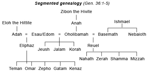 Major Genealogies in the Old Testament GENEALOGY BIBLE REFERENCE Adam - photo 3