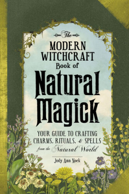 Judy Ann Nock - The Modern Witchcraft Guide to Runes: Your Complete Guide to the Divination Power of Runes