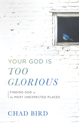 Chad Bird - Your God Is Too Glorious: Finding God in the Most Unexpected Places