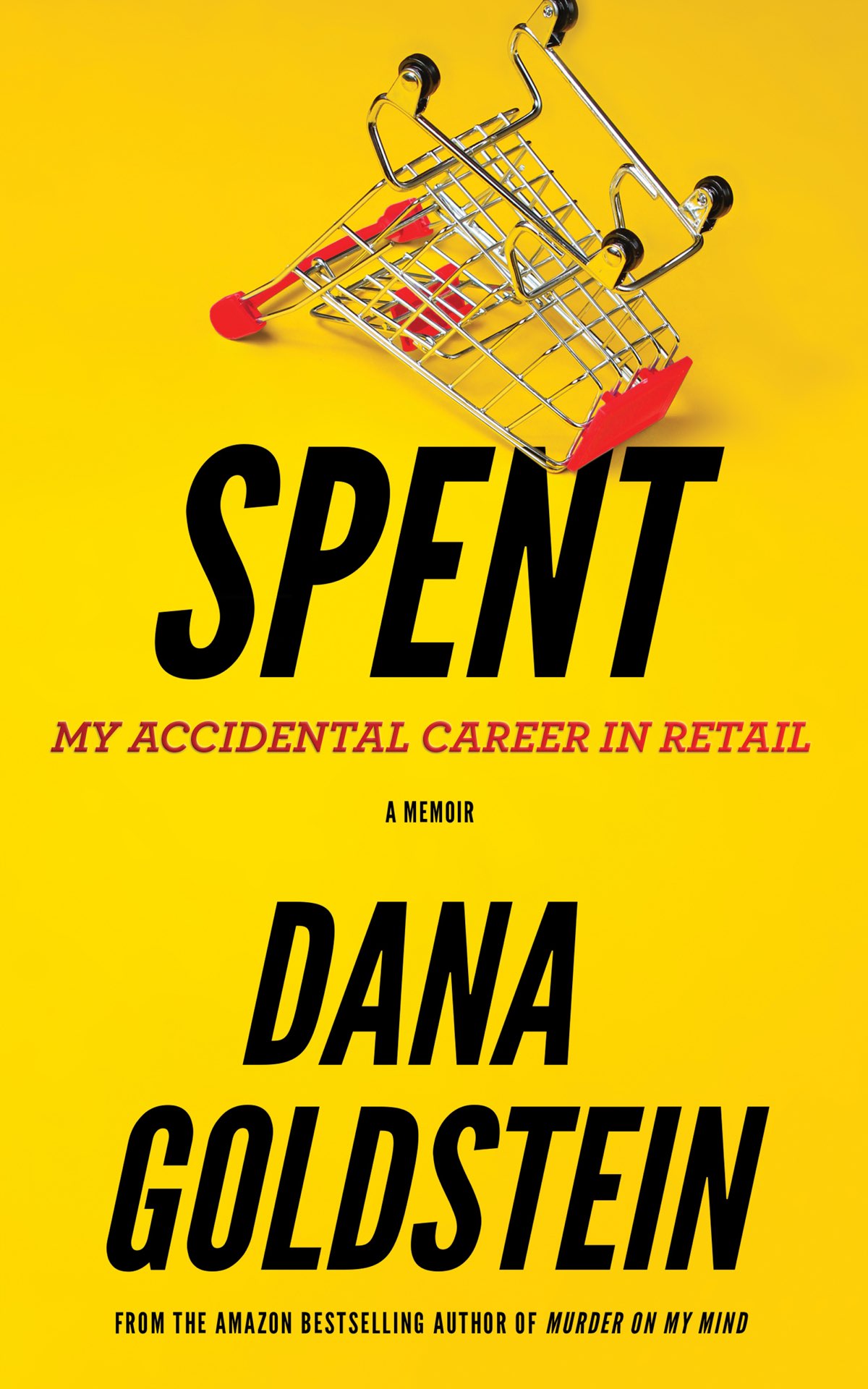 Spent My accidental career in retail Dana Goldstein Copyright 2022 by Dana - photo 1