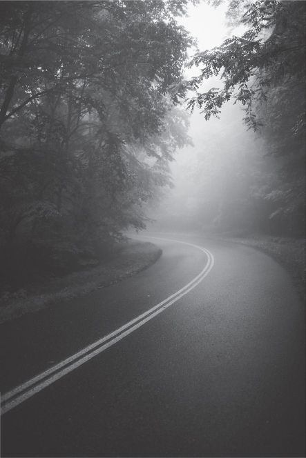 A Carolina country road Photo by Wes Hicks on Unsplash CONTENTS - photo 4