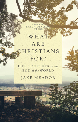 Jake Meador What Are Christians For?: Life Together at the End of the World