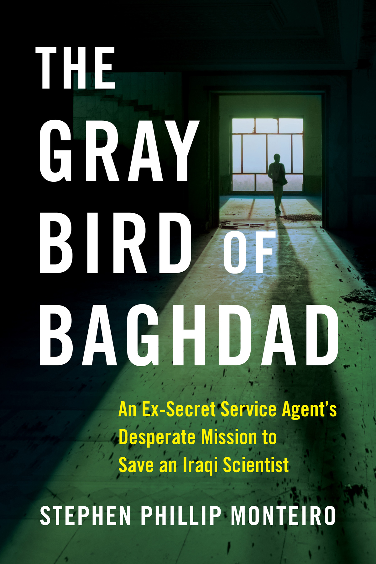 PRAISE FOR THE GRAY BIRD OF BAGHDAD Steve Monteiro deftly leads the reader - photo 1