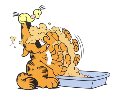 TOP TEN SIGNS THAT YOUR CAT IS A GARFIELD 10 Your pet food bill surpasses the - photo 3