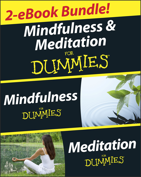 Mindfulness For Dummies by Shamash Alidina Foreword by Steven D Hickman - photo 1