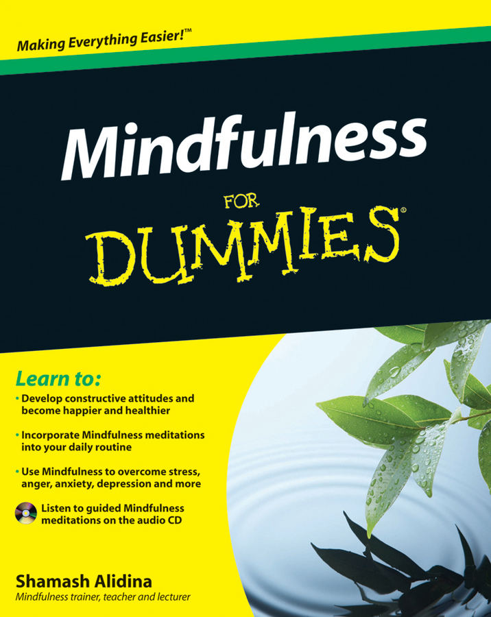 Mindfulness For Dummies by Shamash Alidina Foreword by Steven D Hickman - photo 2