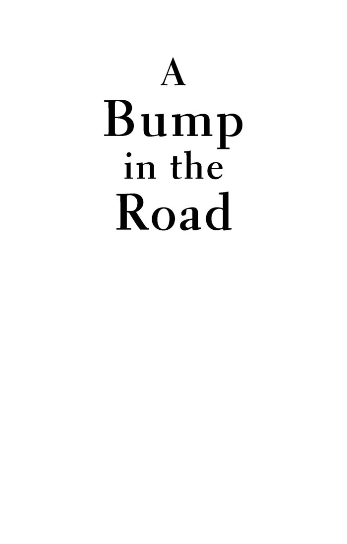 Praise for A Bump in the Road A Bump in the Road is honest open raw - photo 2