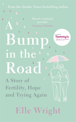 Elle Wright - A Bump in the Road: A Story of Fertility, Hope and Trying Again