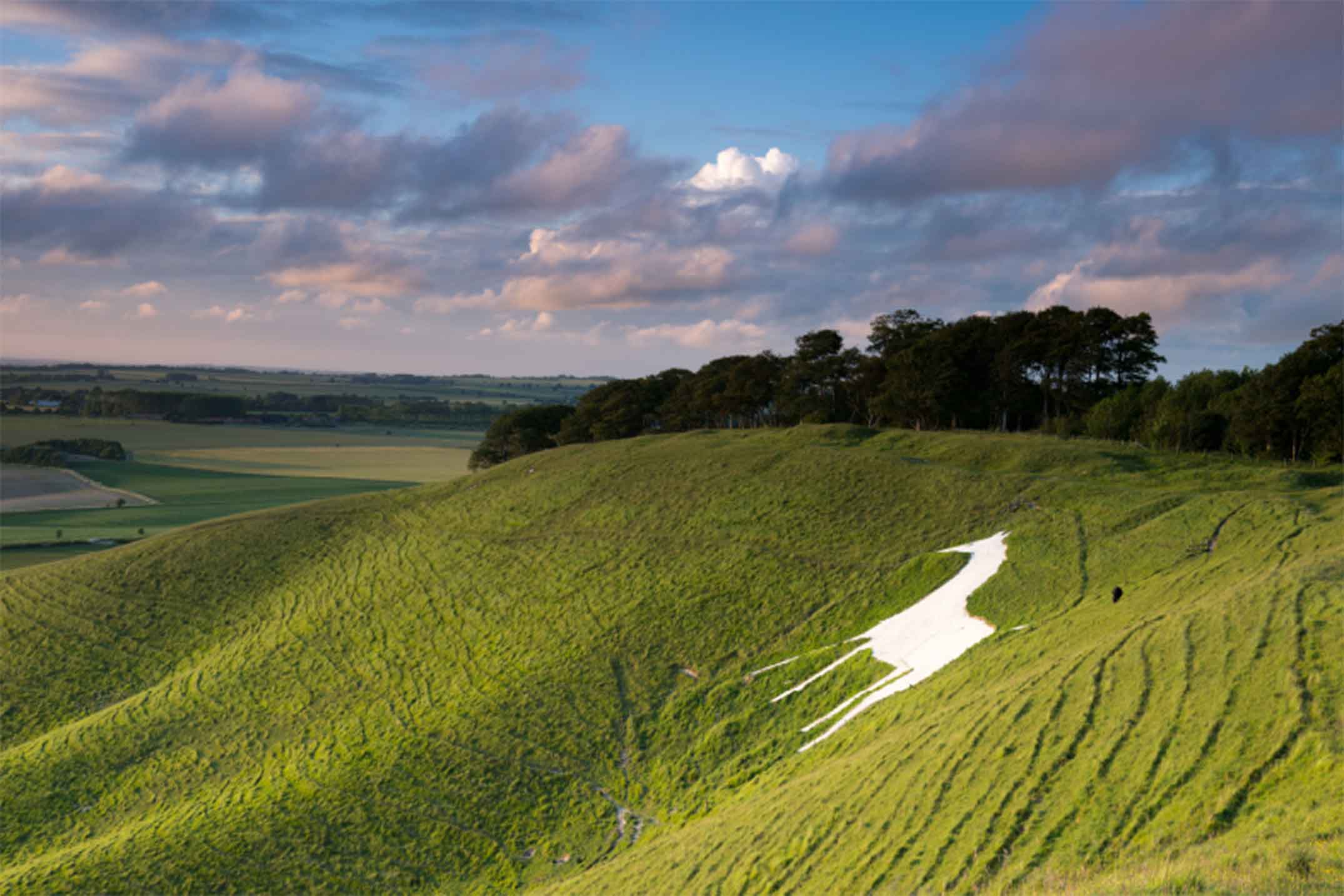 Time to spare on our Avebury weekend Visit Cherhill White Horse - photo 11