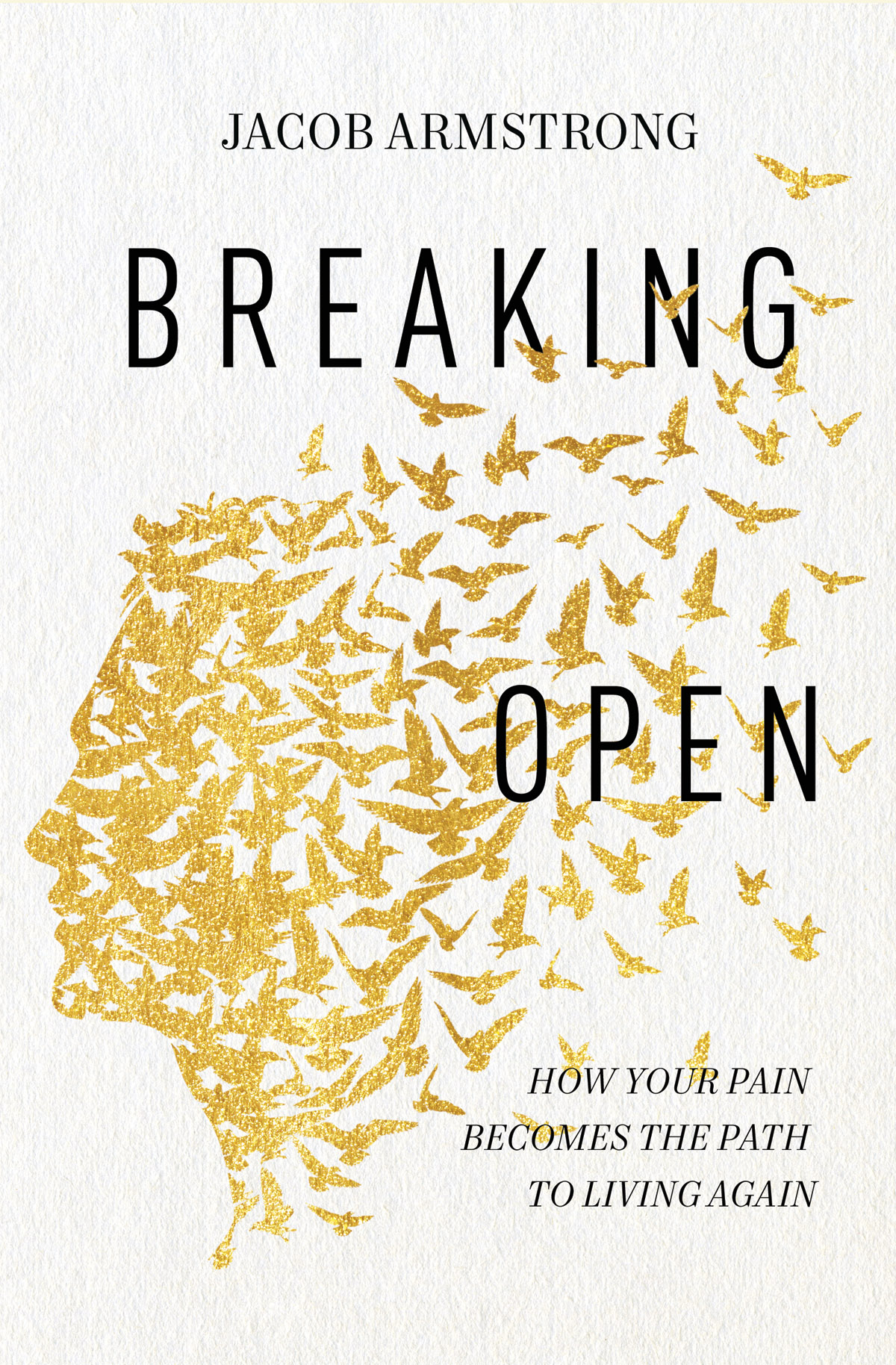 PRAISE FOR BREAKING OPEN This is a deeply meaningful book about life and - photo 1