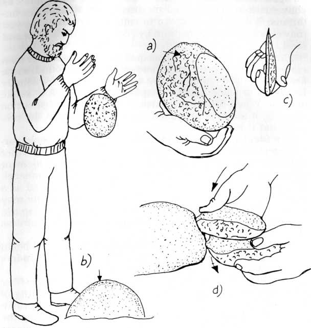 Method of cracking apart a rock to expose a striking surface a Identifying - photo 5