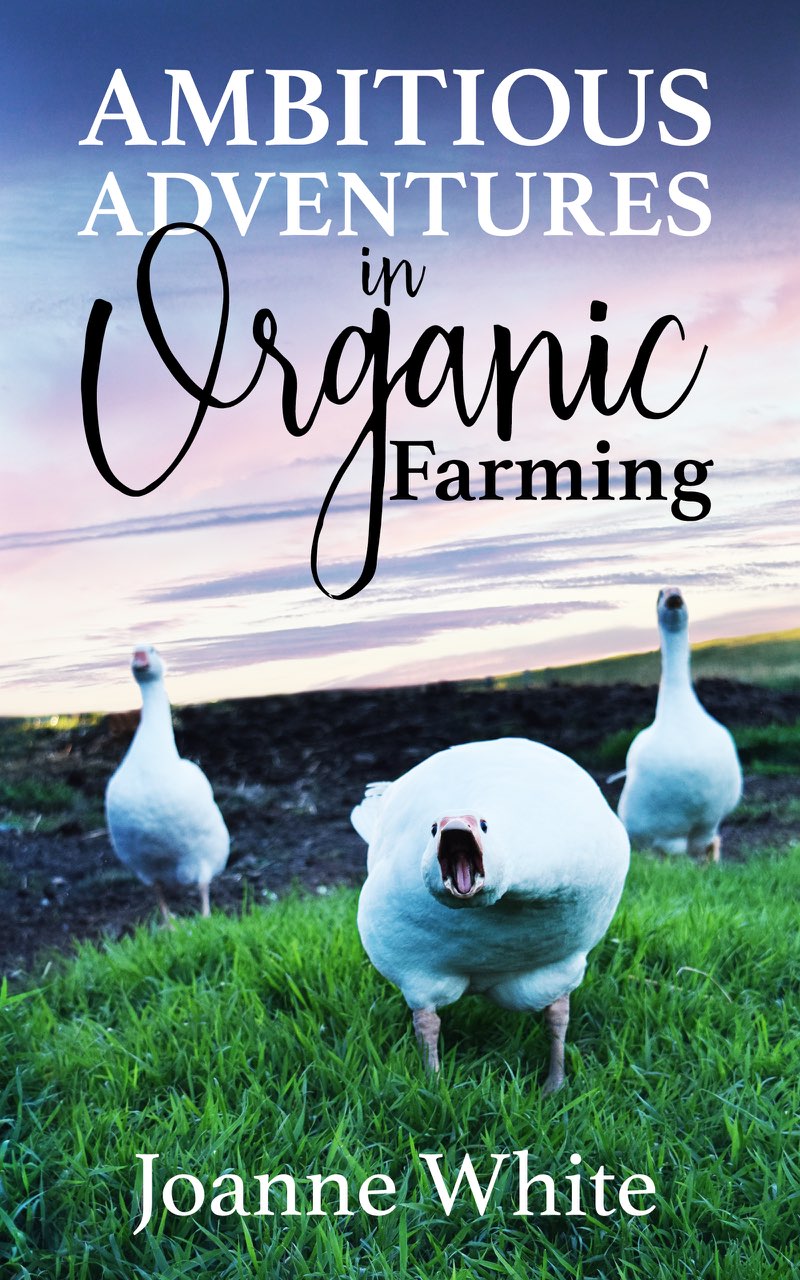 Ambitious Adventures in Organic Farming Joanne White Copyright 2021 - photo 1