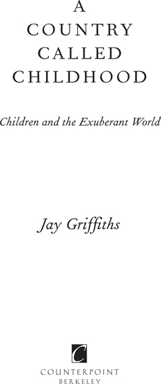 Copyright Jay Griffiths 2014 First published 2013 in Great Britian by Hamish - photo 2