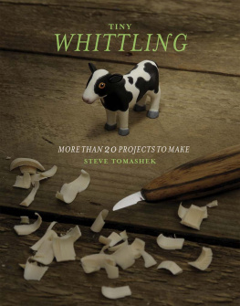 Steve Tomashek - Tiny Whittling: More Than 20 Projects to Make