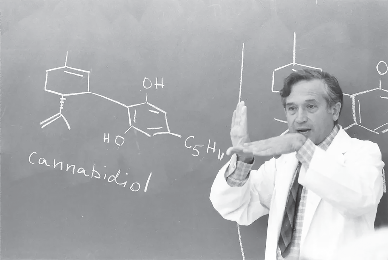 Raphael Mechoulam in a lecture circa 1964 explaining the structure of - photo 2