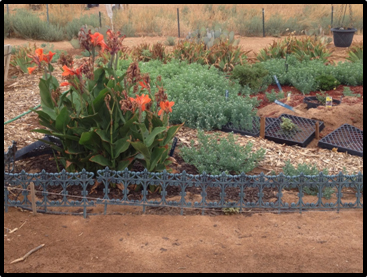 Bark or mulch is used to discourage weed pressure and conserve water in the - photo 5