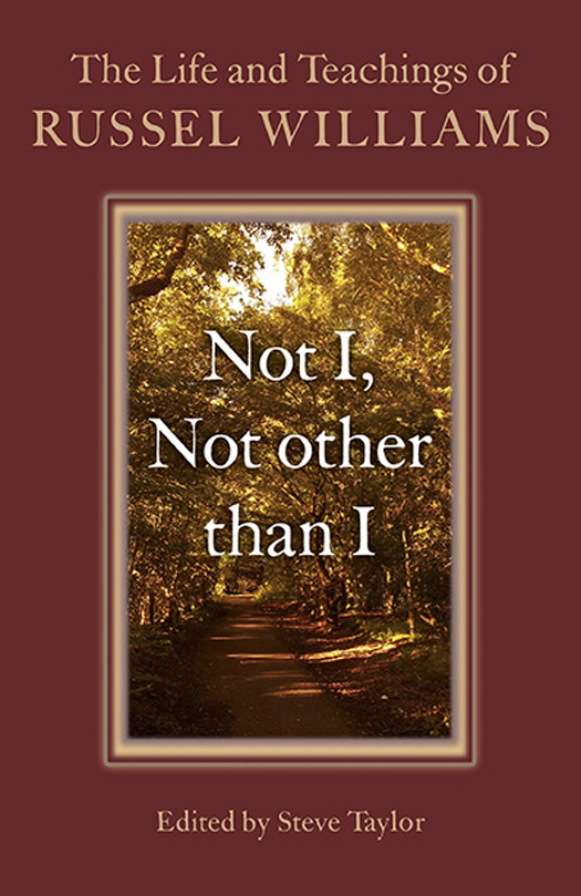 WHAT PEOPLE ARE SAYING ABOUT NOT I NOT OTHER THAN I For over half a century - photo 1