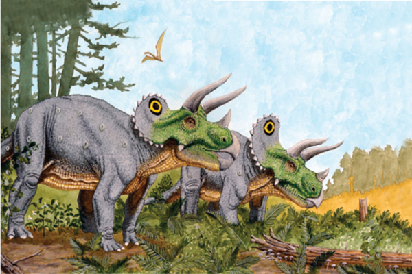 It walked on four legs Triceratops had three horns on its face It looked a - photo 2