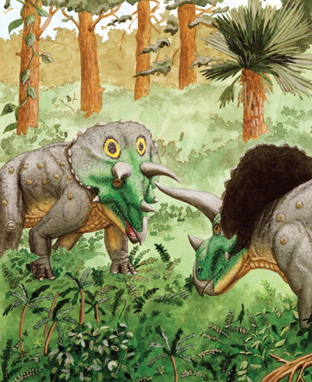 Triceratops was nine feet tall from its toes to its hips Its wide belly was - photo 8