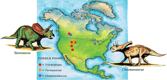 Triceratops lived between 68 and 65 million years ago It was one of the most - photo 18