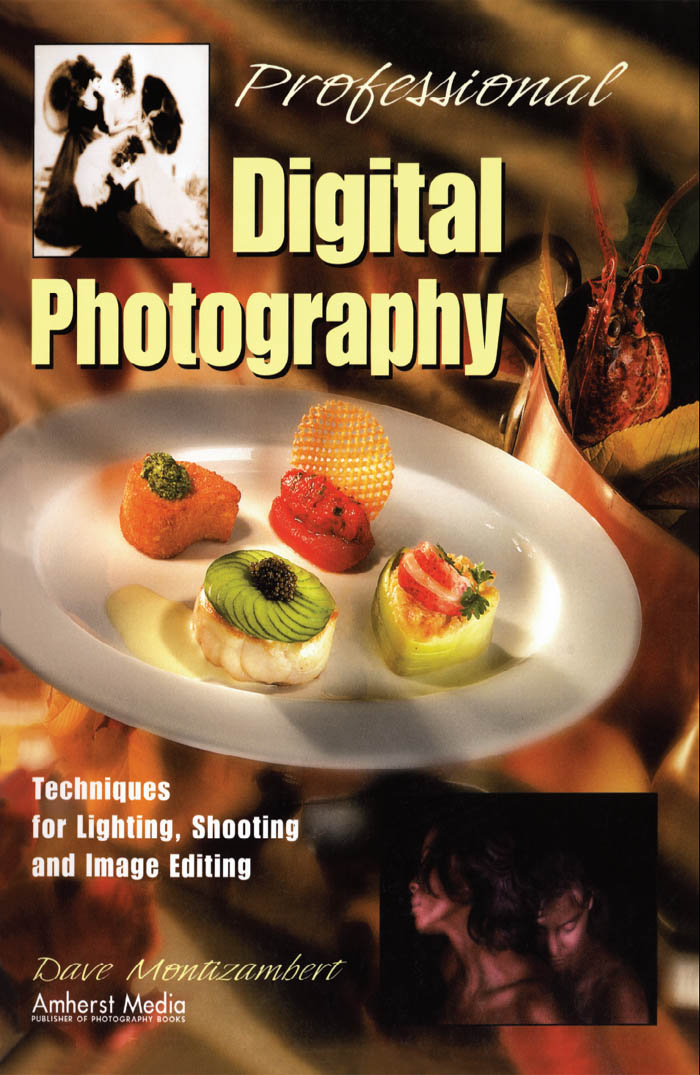 PROFESSIONAL DIGITAL PHOTOGRAPHY TECHNIQUES FOR LIGHTING SHOOTING AND IMAGE - photo 1