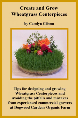 Carolyn Gibson - Creating and Growing Wheatgrass Centerpieces