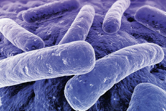 STDs are transmitted through microscopic agents such as bacteria and viruses - photo 3