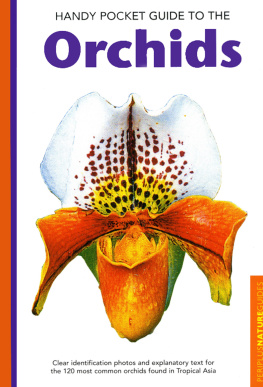 David P. Banks Handy Pocket Guide to Orchids