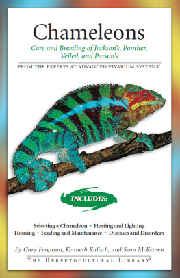 Gary Ferguson Chameleons: Care and Breeding of Jacksons, Panther, Veiled, and Parsons