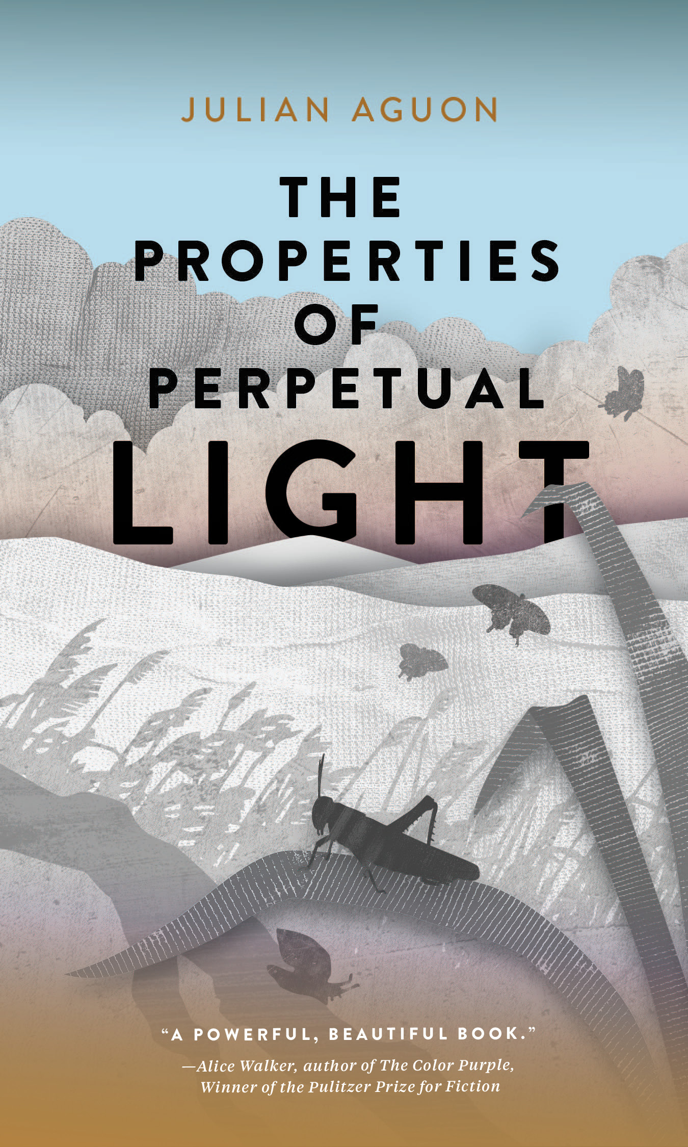 PRAISE FOR The Properties of Perpetual Light A powerful beautiful book Its - photo 1