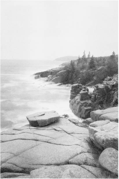 Field Guide to acadia national park maine Revised Edition RUSSELL D - photo 1