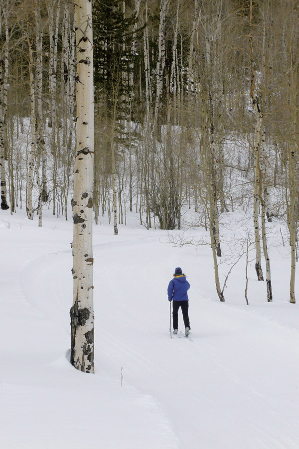 Introduction I did not begin winter hiking and camping the way I recommend you - photo 2